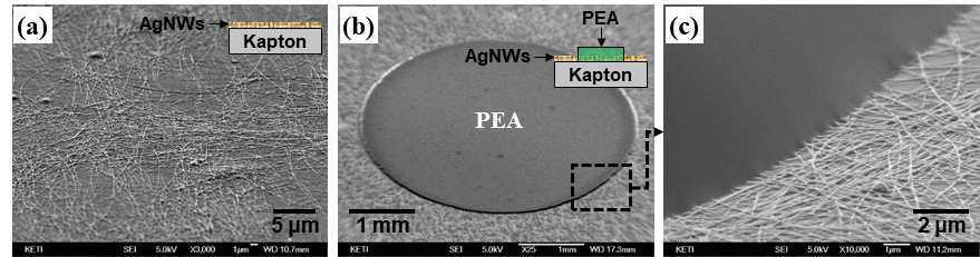 임시기판 (Kapton) 상에 형성된 AgNW (a)와 그 위에 패터닝 된 Epoxy acrylate (PEA) (b) 및 PEA 패턴의 경계부분 확대 사진 (c)