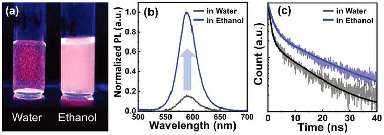 물과 에탄올에서의 BCP/Au/QD 하이브리드 소재의 형광특성 변화