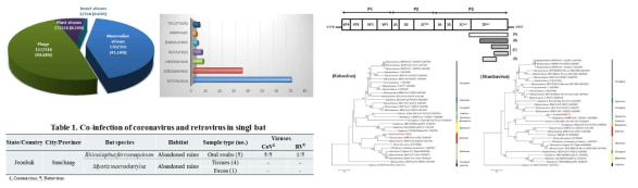 박쥐시료에서의 Virome 분석 및 다양한 바이러스의 co-infection