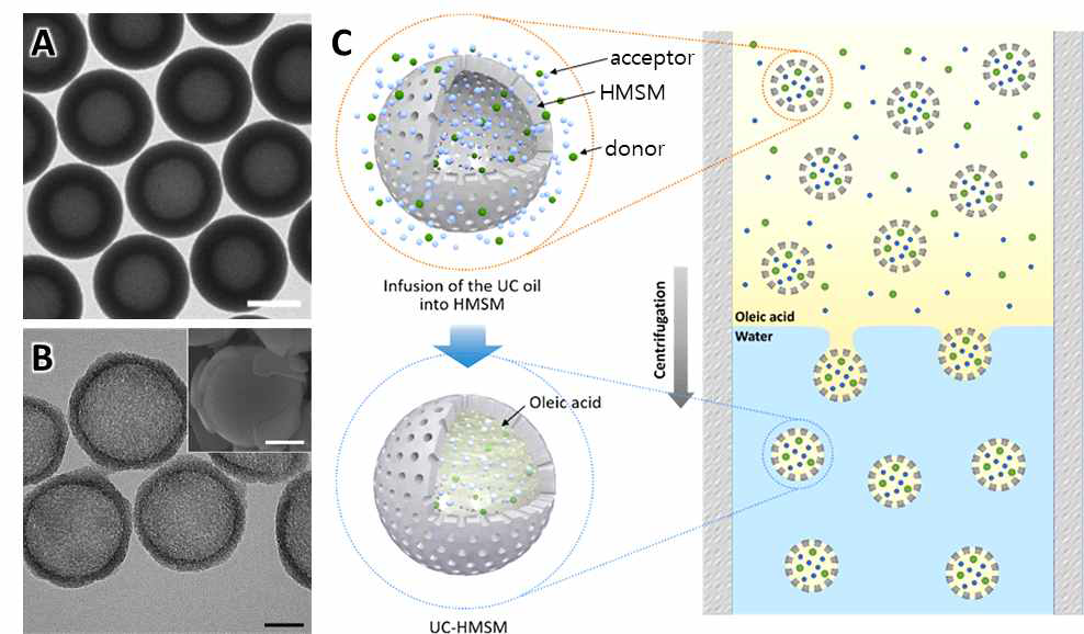 A) HMSM의 TEM 이미지(스케일바: 1μm). B) HMSN의 TEM 및 SEM 이미지(스케일바: 50 nm). C) 원심분리를 통한 UC-HMSM의 분리. (스케일바: A: 1μm, B: 50 nm)