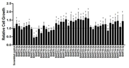 BART miRNA가 proliferation에 미치는 영향 (n=3; *;p<0.05, ✝;p<0.01)