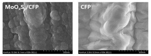 MoOxSy/CFP와 CFP의 FE-SEM 이미지