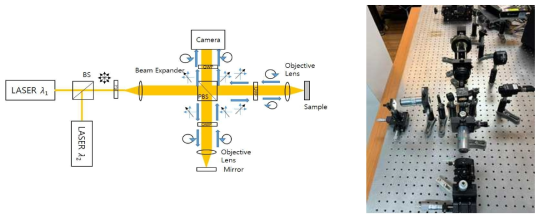 Reflection On-axis lens-less DHM with Polarization Image Camera