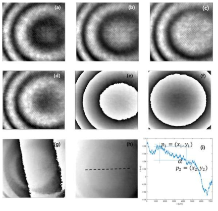 Phase-shifted holograms (PSHs), wrapped phase image, and three-dimensional phase image. Four PSHs for (a) 0, (b) π/2, (c) π, and (d) 3π/2. (e, f) Wrapped phase images for rotation angles of 0.0045° and 0°. (g) Subtracted phase image [(e) −(f)]. (h) Unwrapped phase image. (i) Slope calculation for the phase-unwrapped image