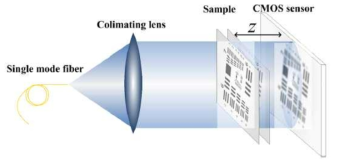 The schematic of the On-axis DHM system