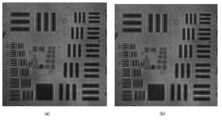 Holograms at different object position. (a) z (b) z+100 ㎛