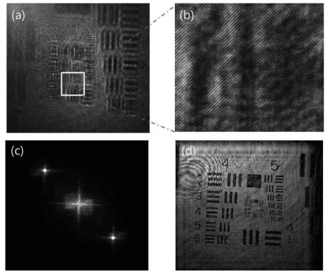 Hologram and reconstructed intensity image: (a) hologram, (b) enlarged image of the square area in (a), (c) two-dimensional fast Fourier transform (FFT) spectrum, and (d) the reconstructed intensity image