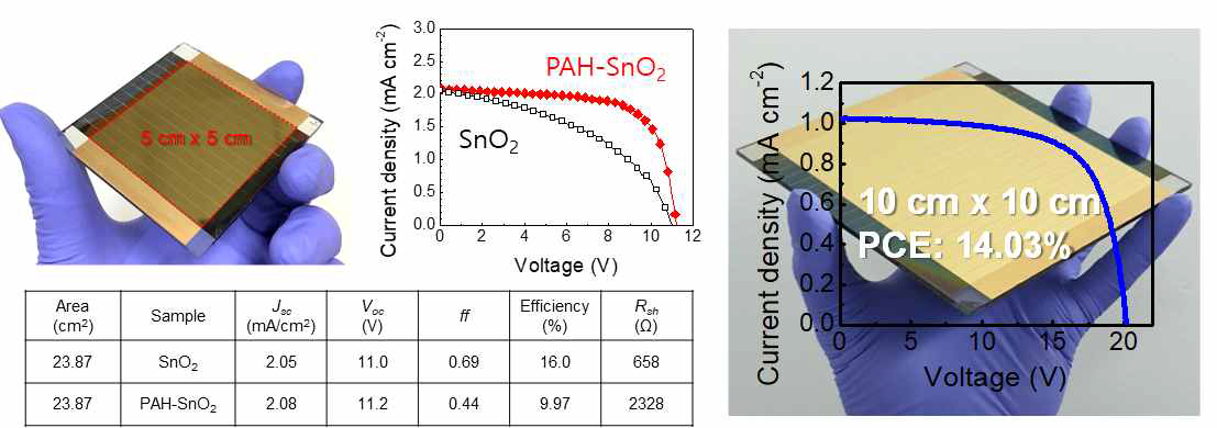 25 cm2 및 100 cm2 의 대면적에서 페로브스카이트 태양광 모듈 특성
