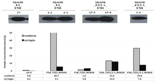 HPCL analysis of monolignol glucosides in leaves of transgenic plants overexpressing various UGT genes in col-0 background