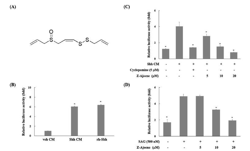 Structure of Z-ajoene and effects of Z-ajoene on Sonic Hedgehog signaling pathway in C3H10T1/2-Gli1-luc cells. (J. Func. Foods. 56 (2019) 102-109)