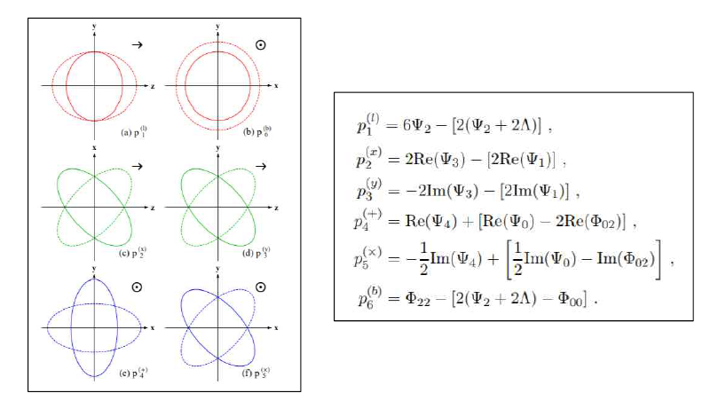 중력파에서의 여섯가지 편광 모드 (좌) (ρ1(l), ρ2(b), ρ3(x), ρ4(y), ρ5(+), ρ6(×): logitudinal mode, breathing mode, vector-x mode, vector-y mode, plus mode, cross mode)와 계량이론(metric theory)의 중력 이론에서 평면파로 진행하는 중력파의 Newman-Penrose 스칼라량을 통한 일반적인 편광모드 기술 방법 (우)               × : logitudinal