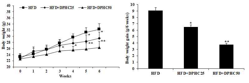 고지방 식이 유도 비만 동물모델에서 DPHC의 체중 감소 효과