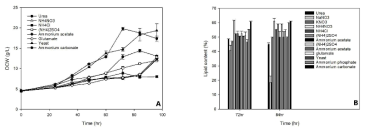 Effect of nitrogen source on cell growth and lipid accumulation