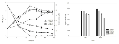 Effect of shaking speed on growth and lipid accumulation