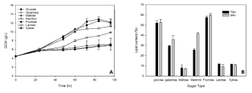 Effect of sugar kind on cell growth and lipid accumulation