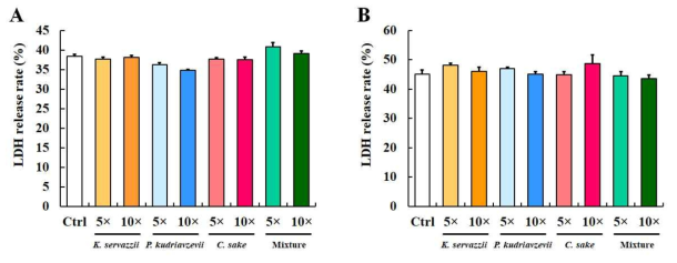 골마지 생성균 노출에 따른 세포 독성 평가 (A: 대장상피세포; B: 간세포)