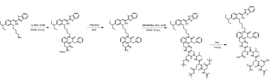 Synthesis of 1–Phe-Phe-DEVD