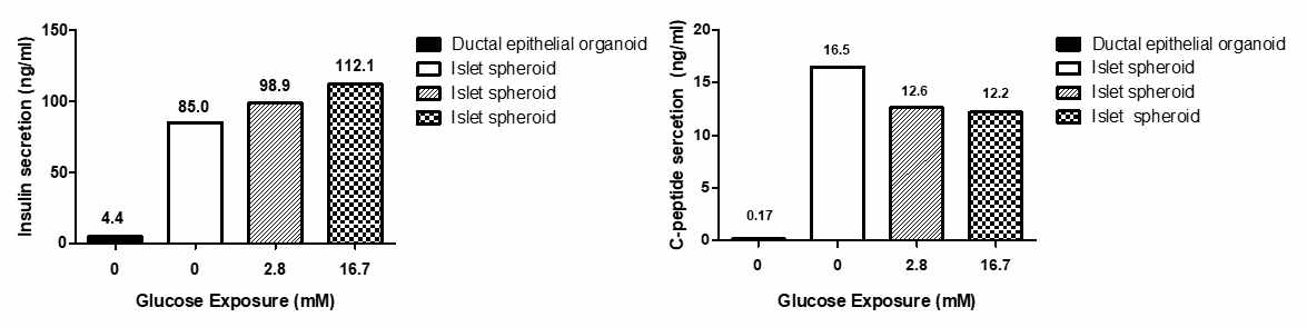 ELISA 실험을 통해 췌도 세포의 인슐린 분비를 정량화