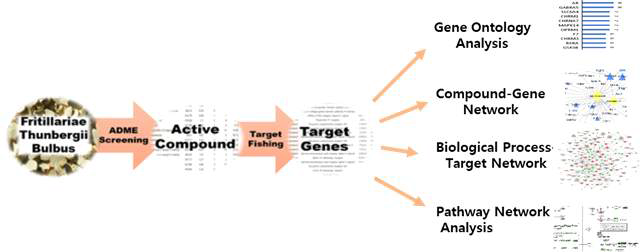 Workflow: the performance of systems pharmacological network analysis of Fritillariae Thunbergii Bulbus, active compound screening, target fishing, gene ontology analysis, network constructions, and pathway network analysis