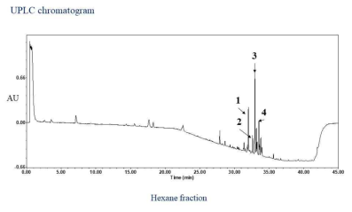 Hexane 분획 중 활성을 나타내는 물질 확인