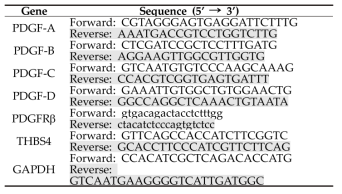 The sequence of primers