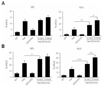 Conventional condition에서 Yeti/CD1d KO B6 생쥐의 수지상 세포 변화 조사