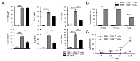 Yeti 생쥐에서 CD1d 비의존적 NKT 세포의 세포독성 기능 변화 조사