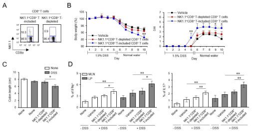 CD1d 비의존적 NKT 세포가 염증성 장질환 발달에 미치는 영향 조사
