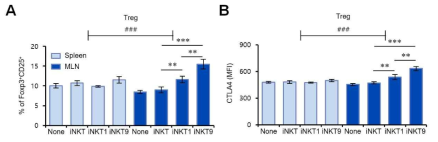 iNKT 세포의 아집단이 Treg 세포에 미치는 영향