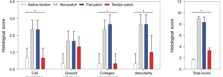 만성 어깨 힘줄 파열 동물 모델에서 제작된 지지체의 힘줄 조직 재생 스코어링