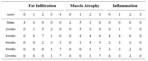 조직학적 평가를 위한 scapular Y-shape 의 극상근 부위 지방변성, 근육 위축, 염증 스코어링