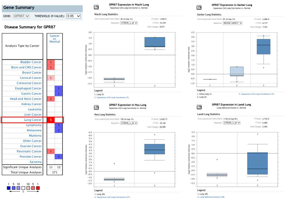 폐암에서 GPR87 발현에 대한 연관성 규명