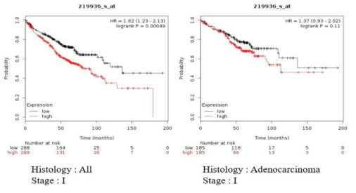 GPR87 발현에 따른 stage I 단계 폐암 환자들의 생존율