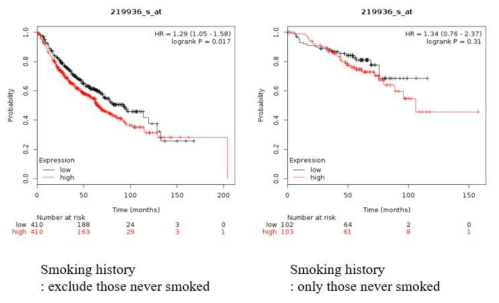 GPR87 발현에 따른 흡연 또는 비흡연 폐암 환자들의 생존율