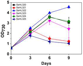 Synthetic pathway 도입된 파네신 생산 균주의 세포성장 그래프