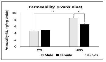 고지방 식이에 의한 뇌혈관투과도 변화의 성별차이