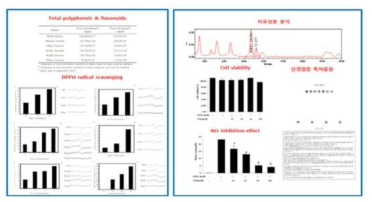 유근피 추출물의 선행연구 결과