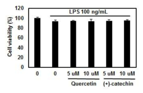 Effect of quercetin and (+)-catechin on cytotoxicity in BV-2 cells. The results are displayed in percentages relative to control sample without LPS/quercetin and (+)-catechin treatment