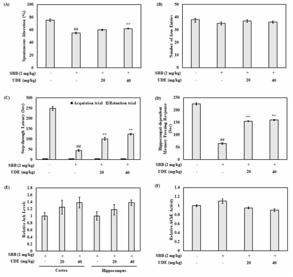 Memory enhancing effct of UDE against scopolamine-induced amnesia in C57BL/6 mice. (A,B) Effect of UDE on the SBB-induced memory deficits in Y-maze test. Mice were orally administered with UDE (20, 40 mg/kg) or vehicle 30 min before SBB treatment(2 mg/kg). Memory impairment was induced by SBB 30 min before conducting Y-maze test. Spontaneous alteration behavior (A) and total number of arm entries (B) during 8-min sessions were monitored. (C) Effect of UDE on the SBB-induced memory impairment in passive avoidance test UDE (24, 40 mg/kg) was administered 30 min before SBB treatment (2 mg/kg). Memory deficit was induced by SBB 30 min before conducting passive avoidance test. At24 h after acquisition trial,the retention trial was carried out for 300 s. (D) Effect of UDE on the SBB-induced memory impairment in fear conditioning test Micewereadministered with UDE (24, 40 mg/kg) or the same volume of vehicle 60 min prior to the fear conditioning test. SBB (2mg/kg) was injected 30 min after the UDE treatment.Contextualfear conditioning tests were performed to measure the hippocampal-dependent. Freezing response withoutany movement except breathing was monitored. (E) Effect of UDE on the acetylcholine (Ach) levels in the cortex and hippocampus. (F) Effect of UDE on the activity of acetylcholine esterase (AchE) in the cortex. Data are expressed as mean±S.E.M. ##p< 0.01 vs. vehicle-treated control group. **p<0.01 vs.SBB-treated model group