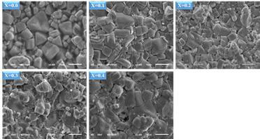 Nd1.4-xPrxSr1.6Mn2O7 (x = 0.0, 0.1, 0.2, 0.3, 0.4) 샘플의 SEM 관찰 결과