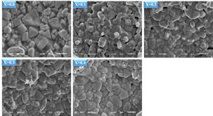 Nd1.4-xSmxSr1.6Mn2O7 (x = 0.0, 0.1, 0.2, 0.3, 0.4) 샘플의 SEM 관찰 결과