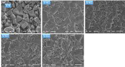 Nd1.4Sr1.6Mn2-xNbxO7 (x = 0.0, 0.1, 0.2, 0.3, 0.4) 샘플의 SEM 관찰 결과