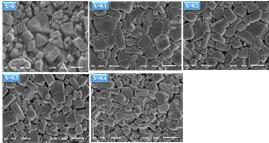 Nd1.4Sr1.6Mn2-xMoxO7 (x = 0.0, 0.1, 0.2, 0.3, 0.4) 샘플의 SEM 관찰 결과