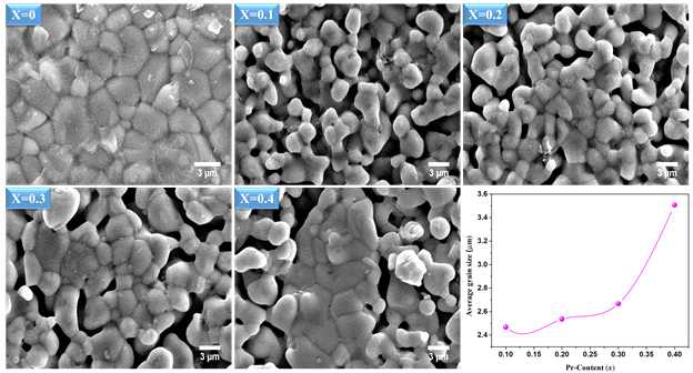 La1.4-xPrxCa1.6Mn2O7 (x = 0.0, 0.1, 0.2, 0.3, 0.4) 샘플의 SEM 관찰 결과 및 도핑 농도 증가에 따른 샘플의 입자 크기 변화