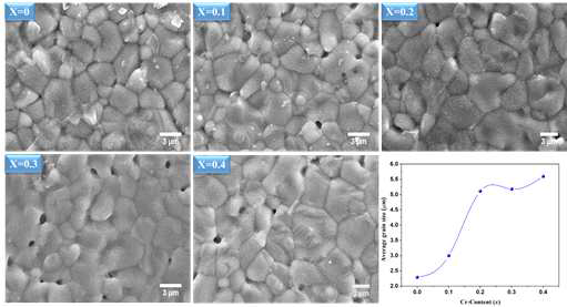 La1.4Ca1.6Mn2-xCrxO7 (x = 0.0, 0.1, 0.2, 0.3, 0.4) 샘플의 SEM 관찰 결과 및 도핑 농도 증가에 따른 샘플의 입자 크기 변화