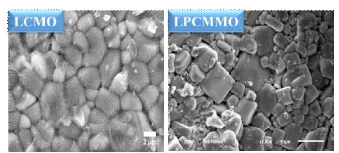 LCMO 및 La1.2Pr0.2Ca1.6Mn1.9Mo0.1O7 샘플의 SEM 관찰 결과