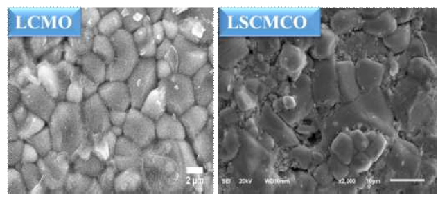 LCMO 및 La1.2Sm0.2Ca1.6Mn1.9Cr0.1O7 샘플의 SEM 이미지