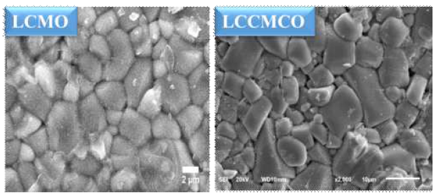 LCMO 및 La1.2Ce0.2Ca1.6Mn1.9Cr0.1O7 샘플의 SEM 이미지