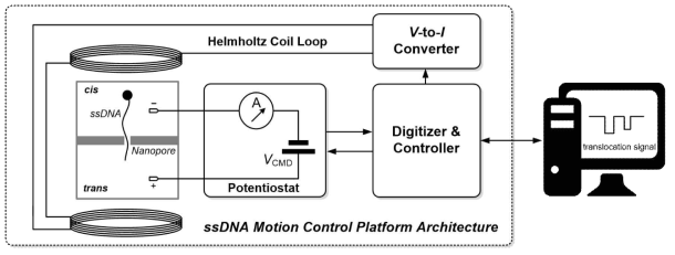 이번 과제에서 제안된 DNA 동작 제어 플랫폼 개요도. 나노기공 센서에서 발생하는 신호를 초저잡음 퍼텐쇼스탯을 사용하여 실시간으로 수집 분석하고, 헬름홀츠(Helmholtz) 코일을 사용한 마그네틱 피드백 루프 시스템을 통해서 DNA 분자의 움직임을 자동 제어하여 나노기공 센서에서 발생하는 DNA 신호의 시간해상도를 높일 계획임