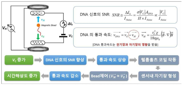 [수식]본 과제에서 제안된 아이디어: 헬름홀츠 코일을 사용하여 마그네틱 피드백 루프 시스템을 구성함 (전압 VH를 변화시켜 자기상의 세기와 방향을 조절할 수 있음). 나노기공 센서는 전기장(전압 VC에 의한)뿐 아니라 자기장 (전압 VH에 의한) 영향에서 놓이게 됨. DNA 분자를 자기bead에 연결하여 자기장과 전기장으로 움직임을 제어할 계획임. 그 결과 DNA분자 움직임은 전압 VC에 의해 제어되고 (속도 ), 자기bead 움직임은 VH에 의해 제어됨(속도 ). DNA 통과속도를 낮춰 시간해상도를 향상시킴. 또한, 증가된 VC 덕분에 DNA 신호의 SNR이 높아짐 (위에 DNA SNR 공식 참조)